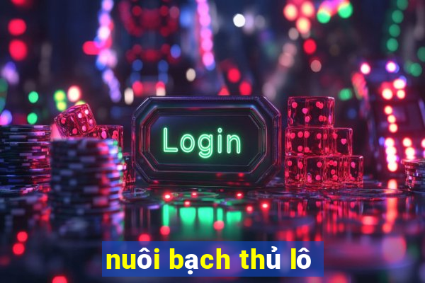 nuôi bạch thủ lô