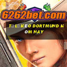 tỷ lệ kèo dortmund hôm nay