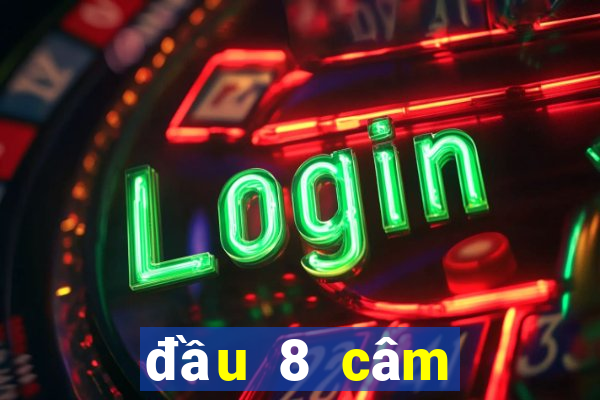 đầu 8 câm đánh lô gì