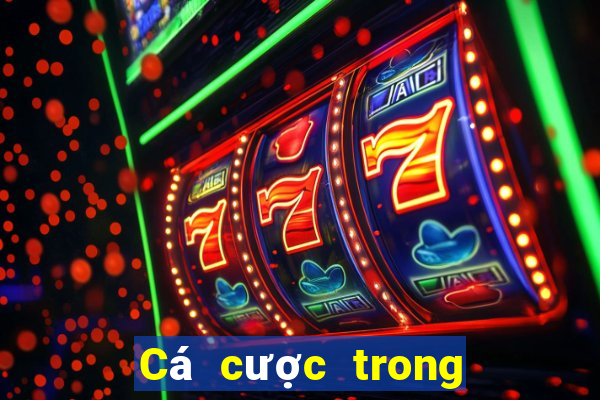 Cá cược trong cá cược bóng đá