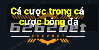 Cá cược trong cá cược bóng đá