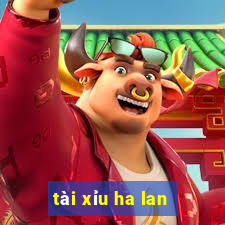 tài xỉu ha lan