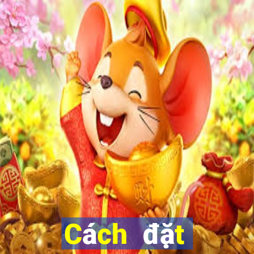 Cách đặt cược XSBD ngày 8