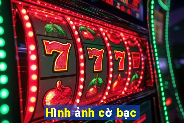 Hình ảnh cờ bạc