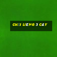 chơi liêng 3 cây