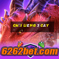 chơi liêng 3 cây