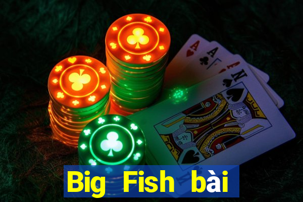 Big Fish bài poker trang web