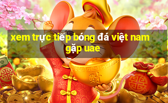 xem trực tiếp bóng đá việt nam gặp uae