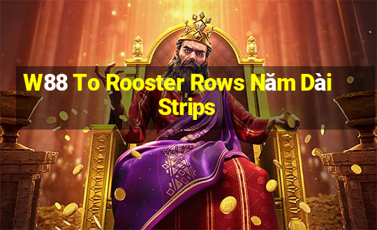 W88 To Rooster Rows Năm Dài Strips