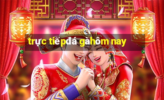 trực tiếp đá gà hôm nay