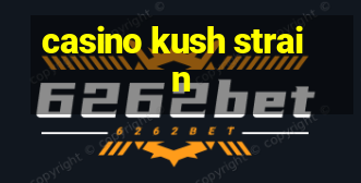 casino kush strain