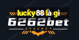 lucky88 là gì