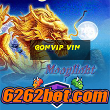 Gonvip Vin