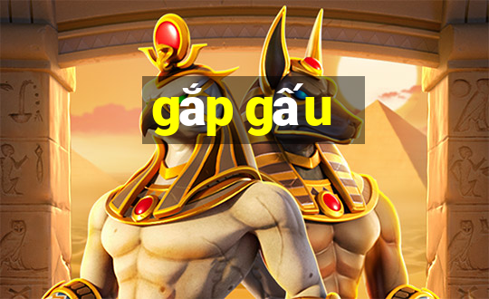 gắp gấu