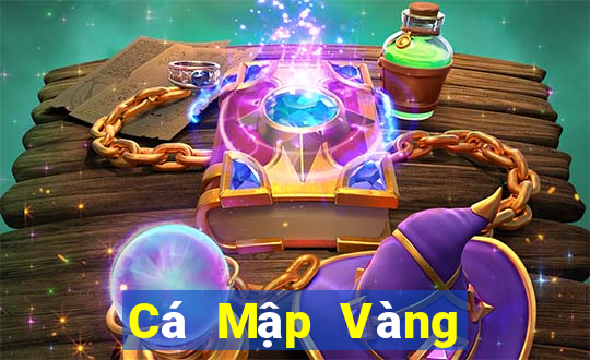 Cá Mập Vàng Cá Mập Bạc Fun88 Tải về