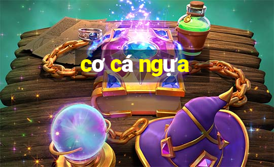 co ca ngua