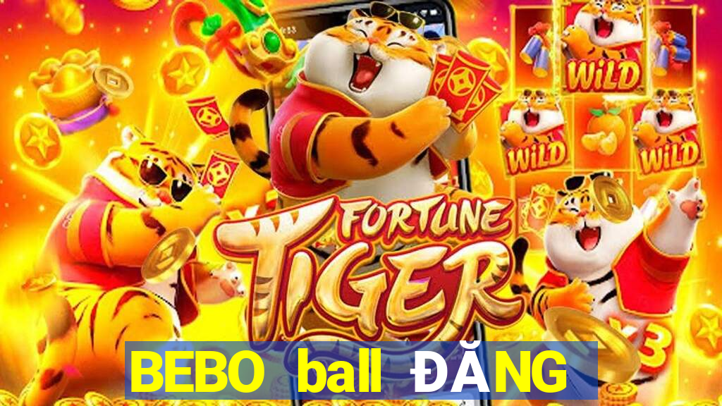 BEBO ball ĐĂNG NHẬP KHẨU