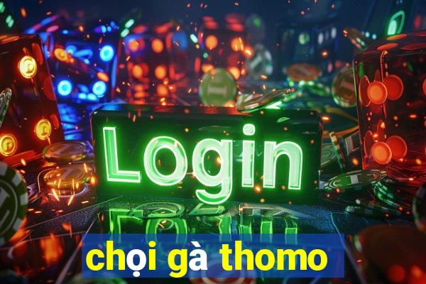 chọi gà thomo