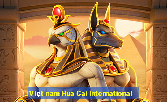 Việt nam Hua Cai International