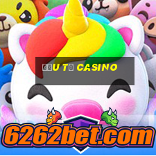 đầu tư casino