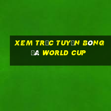 xem trực tuyến bóng đá world cup