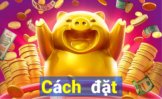 Cách đặt cược XSMT ngày 31