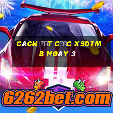 Cách đặt cược XSDTMB ngày 3