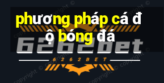 phương pháp cá độ bóng đá