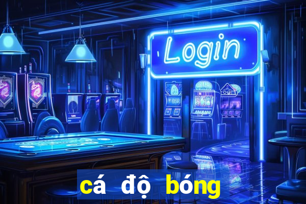 cá độ bóng đá qua mạng