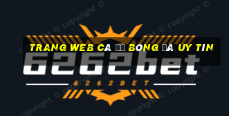 trang web cá độ bóng đá uy tín