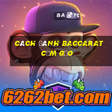 Cách đánh Baccarat cơm gạo