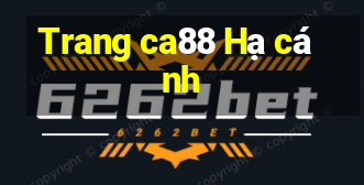 Trang ca88 Hạ cánh