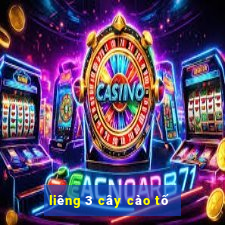 liêng 3 cây cào tố