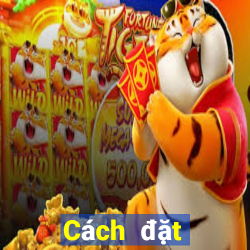 Cách đặt cược XSMT ngày 3