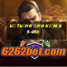 hệ thống đăng kiểm 65-05d