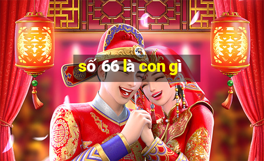 số 66 là con gì