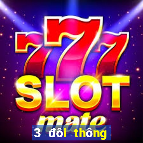 3 đôi thông chặt heo