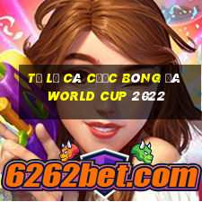 tỷ lệ cá cược bóng đá world cup 2022