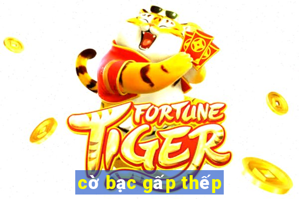 cờ bạc gấp thếp