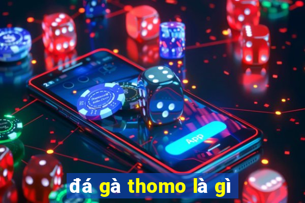 đá gà thomo là gì