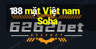 188 mặt Việt nam Soha