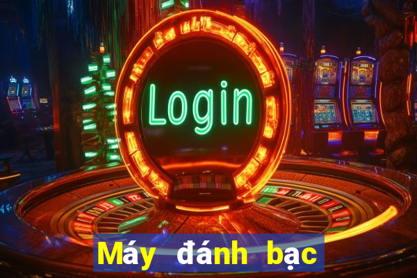 Máy đánh bạc Báo Vàng