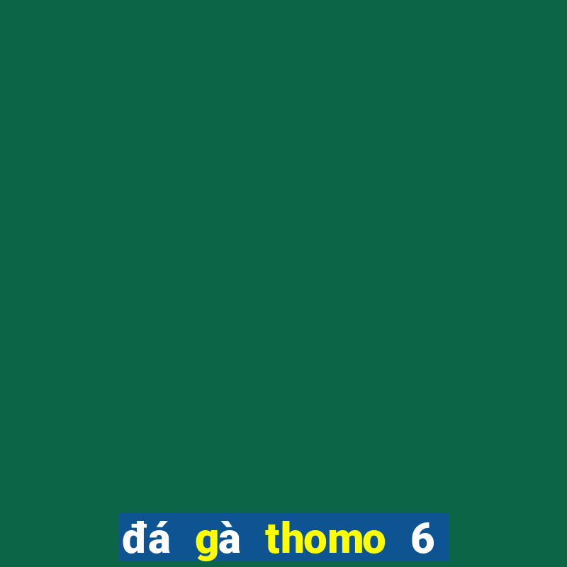 đá gà thomo 6 tháng 11 năm 2003