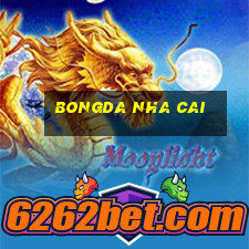 bongda nha cai