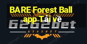 BARE Forest Ball app Tải về