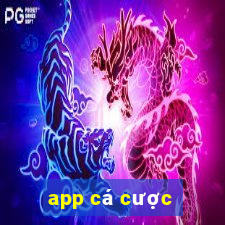 app cá cược