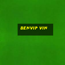 benvip vin