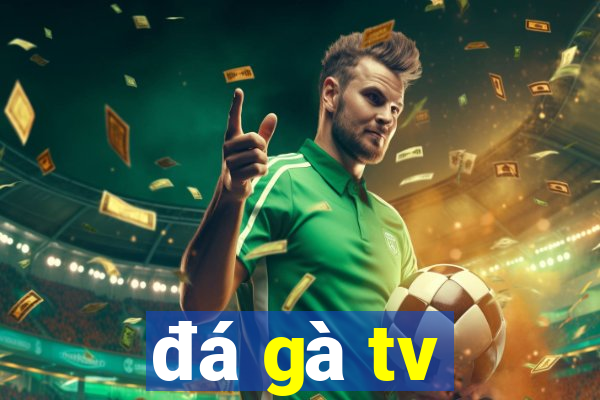 đá gà tv