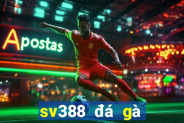 sv388 đá gà việt nam