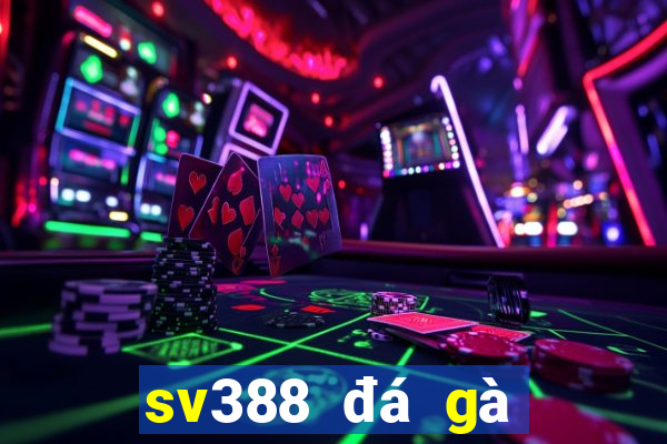 sv388 đá gà việt nam